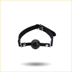 可拆式便携情趣口球