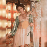 古风高端古典情趣汉服