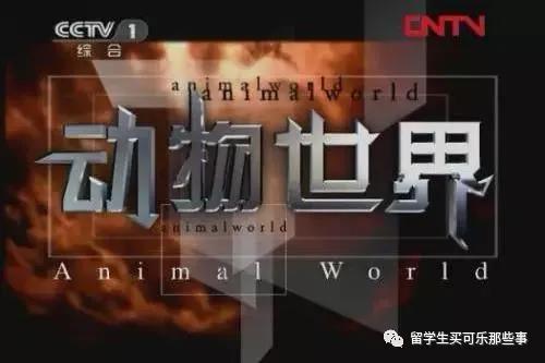 你以为是在看动物世界，其实你只是在照镜子