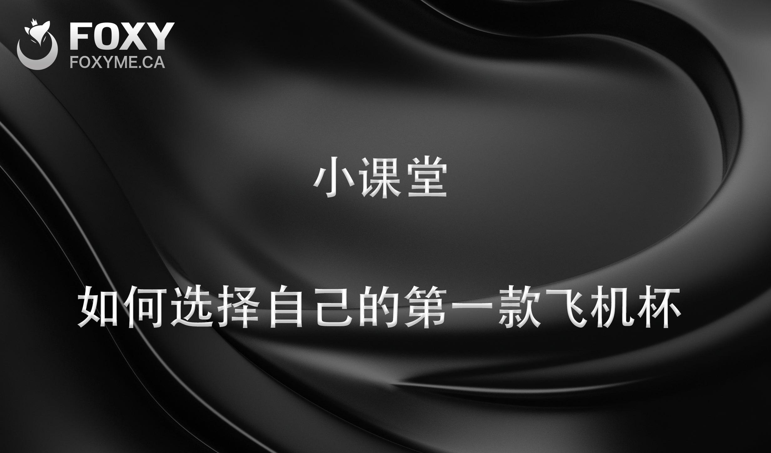 新手应该买什么飞机杯